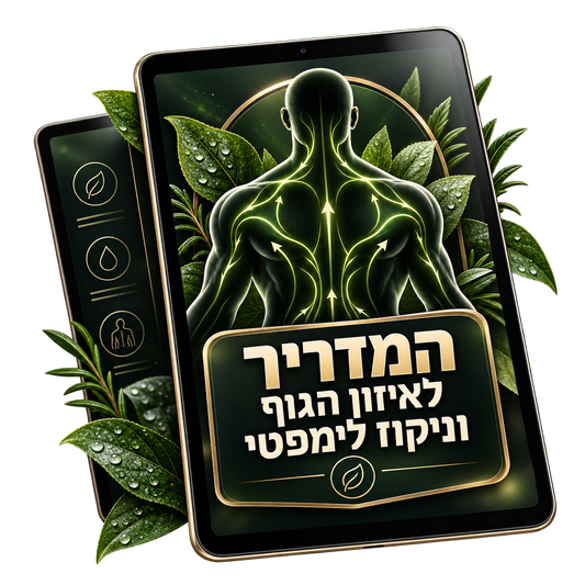 מדריך דיגיטלי לאיזון הגוף וניקוז לימפטי