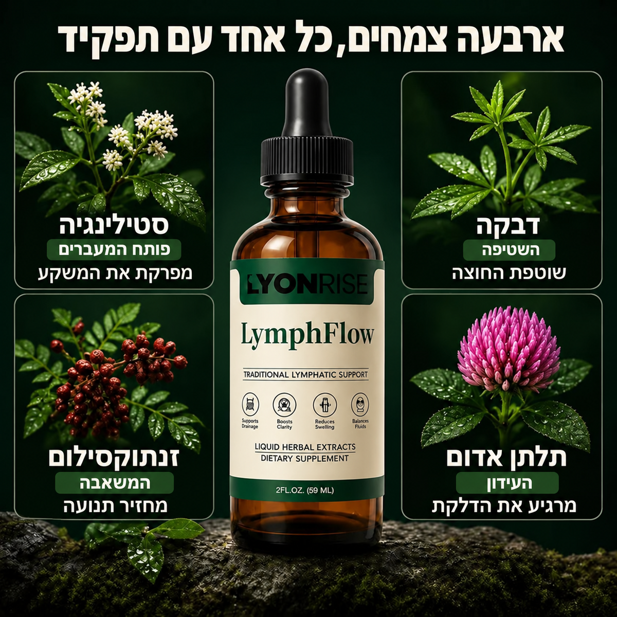 ארבעת הרכיבים הצמחיים של LymphFlow: דבקה, סטילינגיה, תלתן אדום וזנטוקסילום