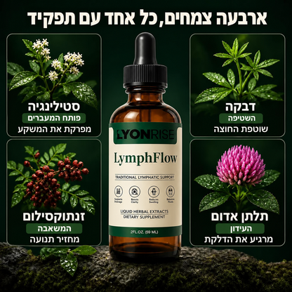 ארבעת הרכיבים הצמחיים של LymphFlow: דבקה, סטילינגיה, תלתן אדום וזנטוקסילום